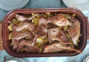 Gastro
