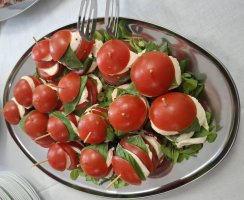 Gastro