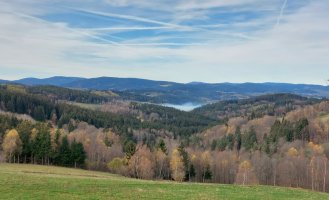 Šumava - údolí Losenice