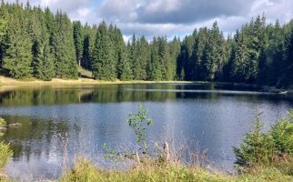 Šumava - Ždárecké jezírko