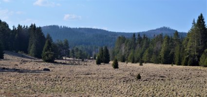 Šumava - Volary